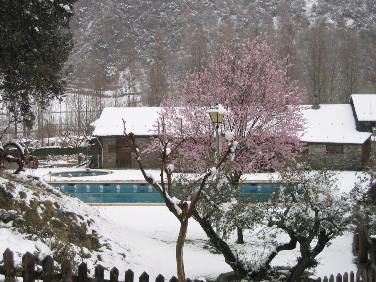 Camping Bungalows La Borda Del Pubill Ribera de Cardós Exterior foto